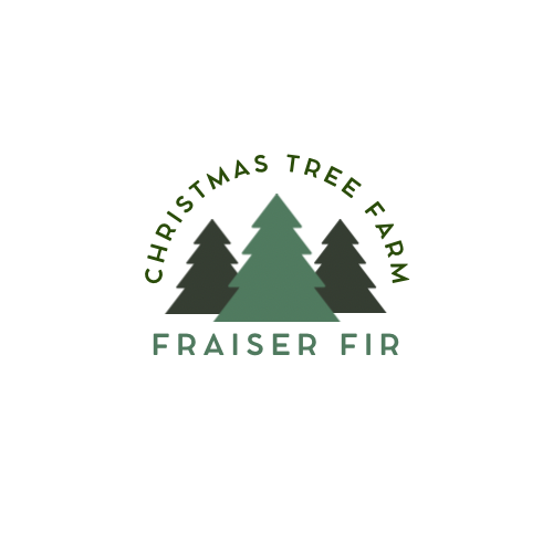 fraiser fir